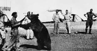 How Wojtek The Bear Became A World War II Hero